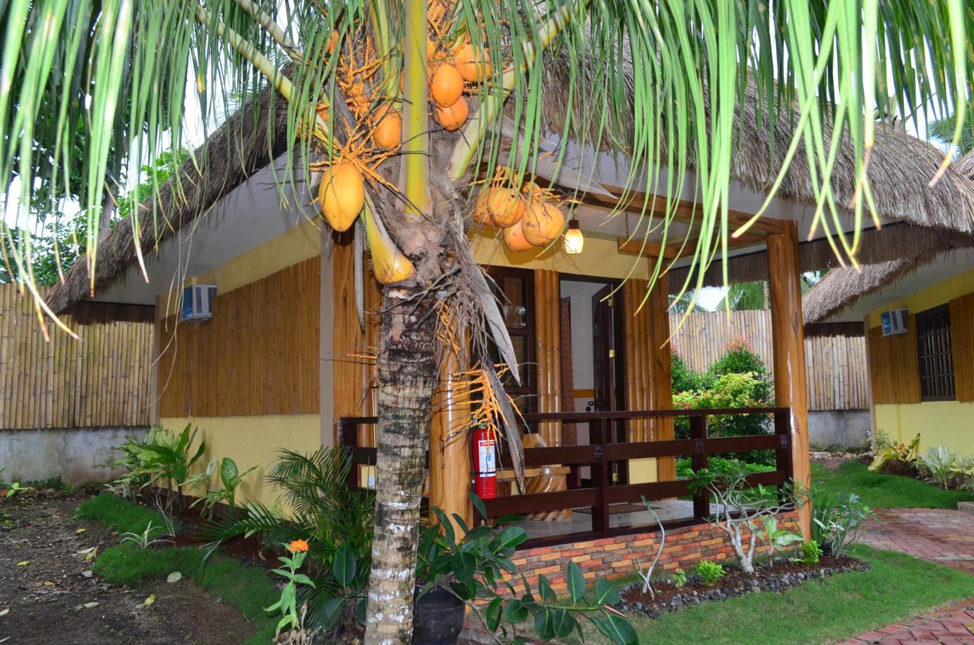 Veraneante Resort Panglao Værelse billede