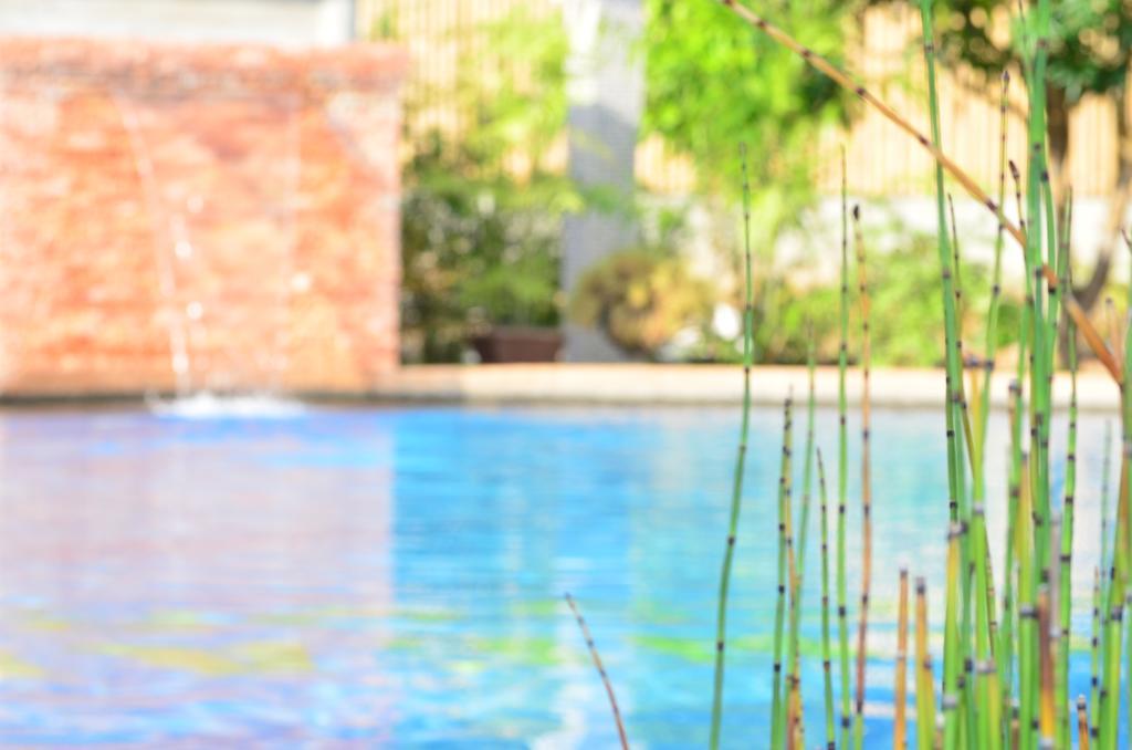 Veraneante Resort Panglao Eksteriør billede